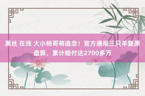黑丝 在线 大小杨哥将追念！官方通报三只羊复原盘算，累计赔付达2700多万