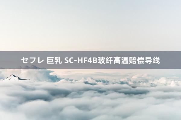 セフレ 巨乳 SC-HF4B玻纤高温赔偿导线