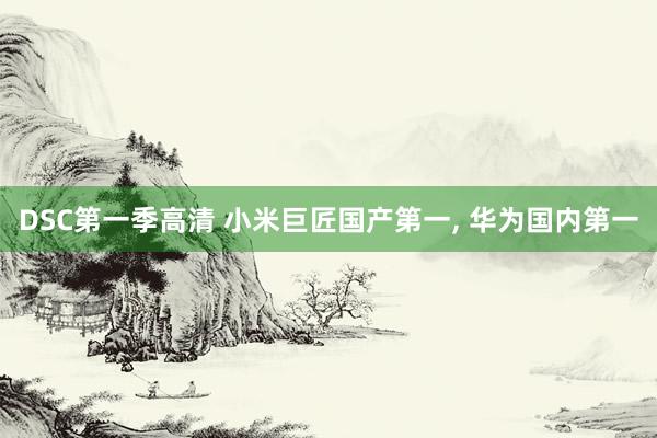 DSC第一季高清 小米巨匠国产第一， 华为国内第一