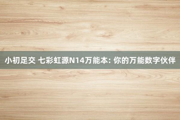 小初足交 七彩虹源N14万能本: 你的万能数字伙伴
