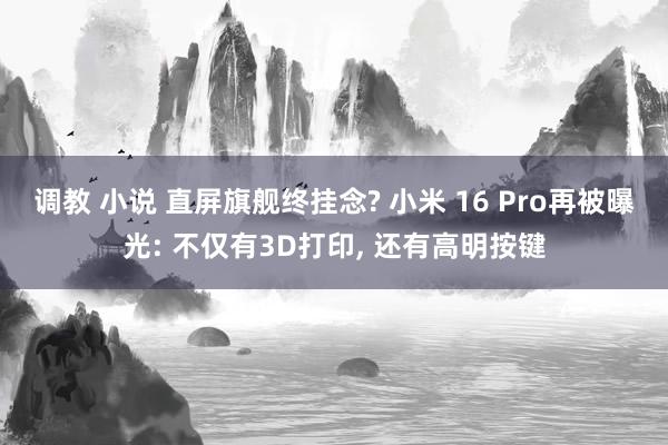 调教 小说 直屏旗舰终挂念? 小米 16 Pro再被曝光: 不仅有3D打印， 还有高明按键