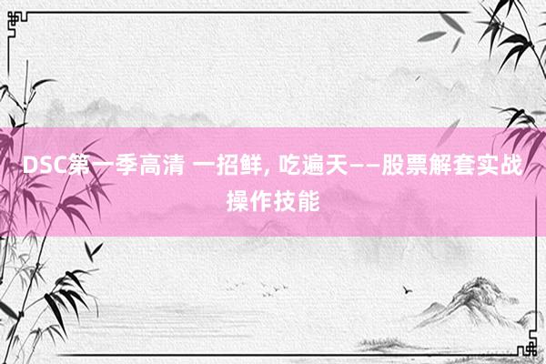 DSC第一季高清 一招鲜， 吃遍天——股票解套实战操作技能