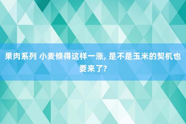 果肉系列 小麦倏得这样一涨， 是不是玉米的契机也要来了?