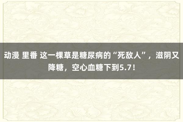 动漫 里番 这一棵草是糖尿病的“死敌人”，滋阴又降糖，空心血糖下到5.7！